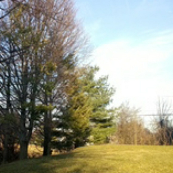 Meet your Posher, H - Picture 1 of 1